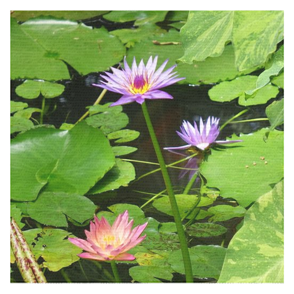 Liquid Lily Cotton Table Cloth